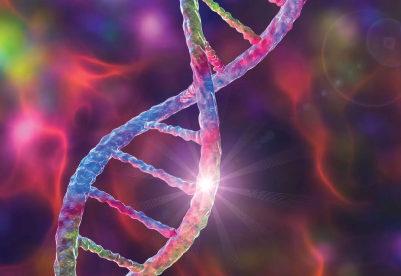 The Growing Impact of Nanotechnology in Nutraceuticals