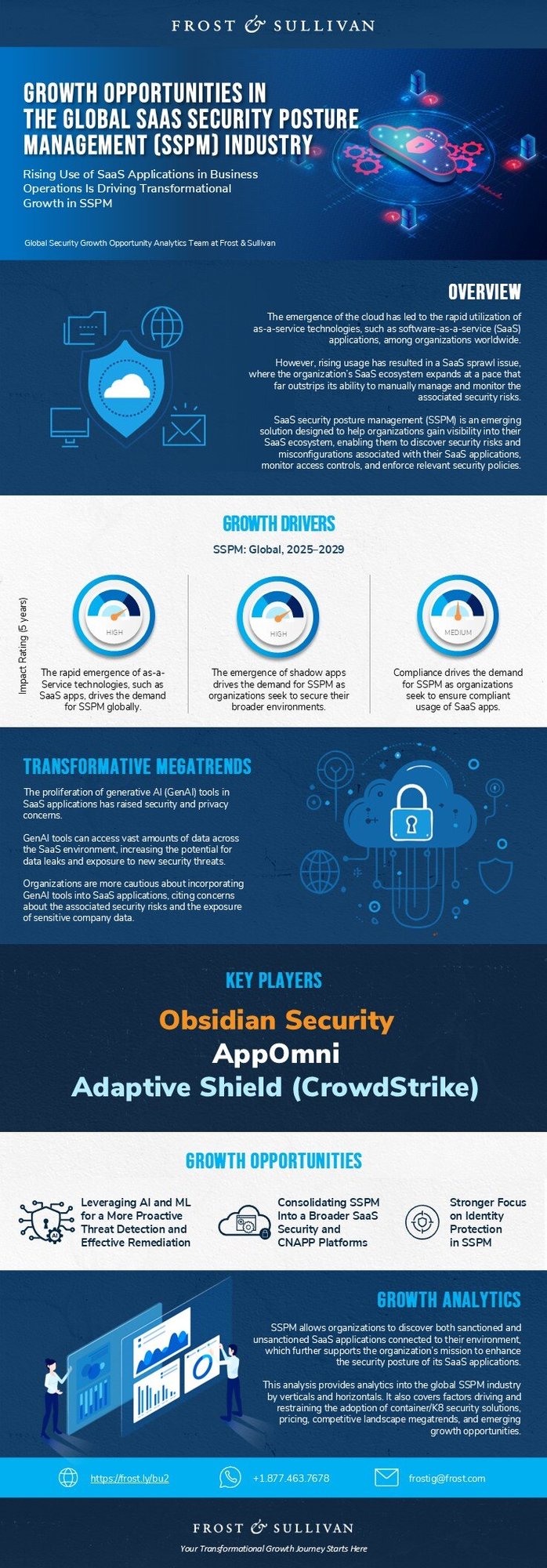 What Are the Growth Opportunities in the SaaS Security Posture Management Industry?
