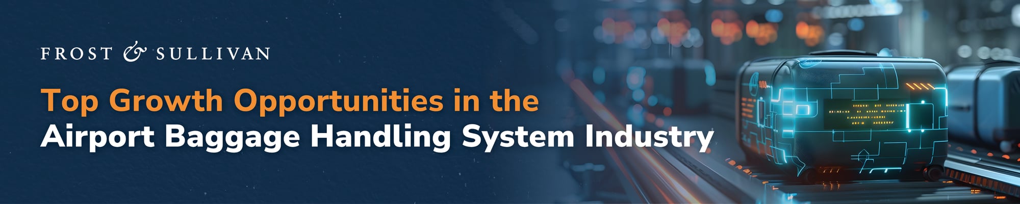 Exclusive Growth Opportunities in Airport Baggage Handling Solutions