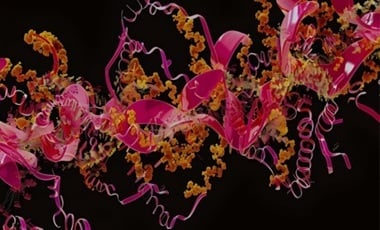 R01_ Folder_HLS GO KB28 - 2 of 3_03032025_MK_AK