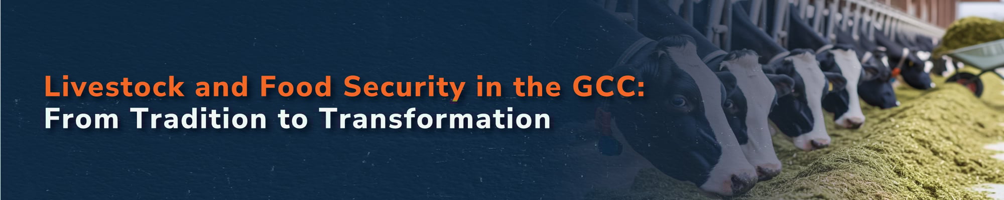 Livestock and Food Security in the GCC: From Tradition to Transformation