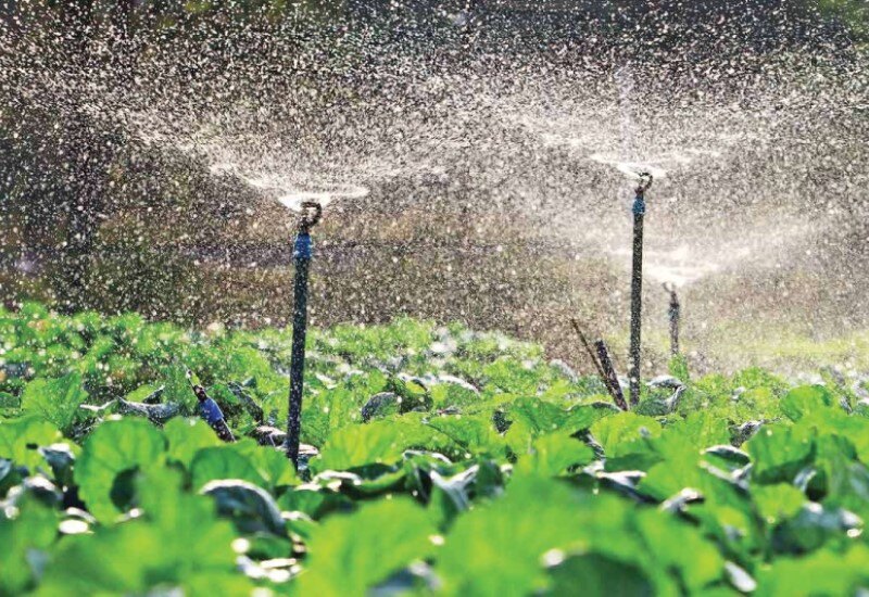 The Smart Water Playbook to Unlock $31 Billion in Irrigation Systems' Growth
