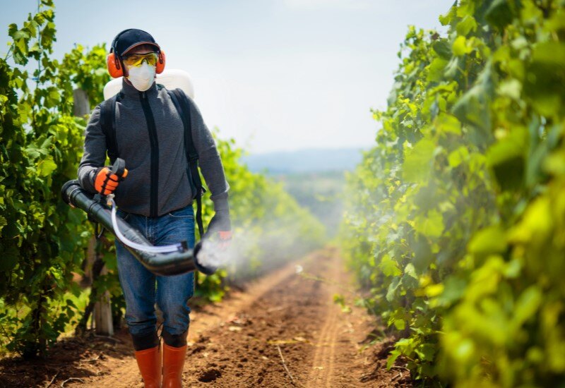 Top Growth Opportunities and Strategic Imperatives in Chemicals, Materials, and Nutrition