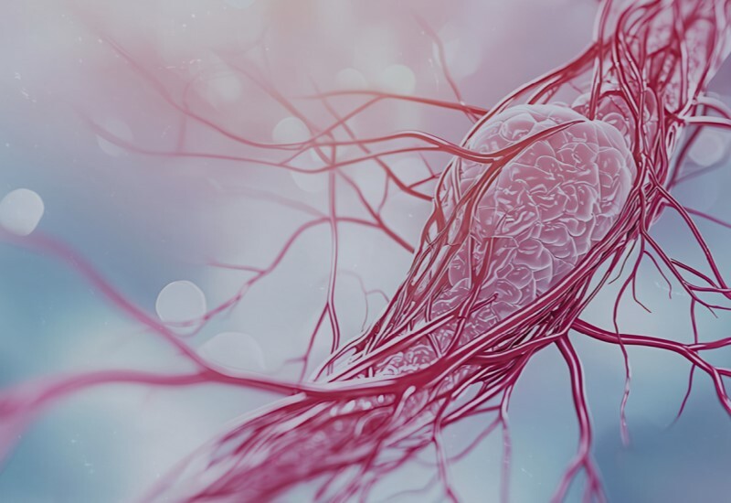 Shaping the Future of Vascular Grafts: Inside the $4.5 Billion Industry Disruption