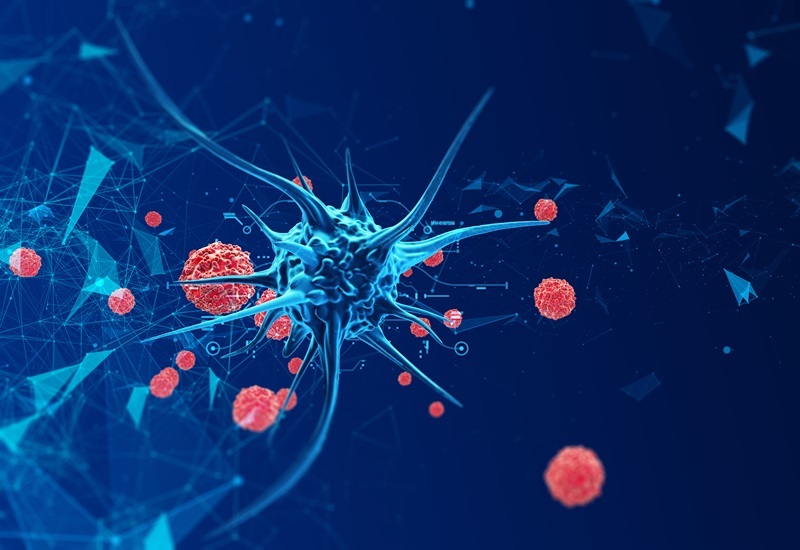 From Data to Decisions: Transform Your Oncology Diagnostics Strategy Now