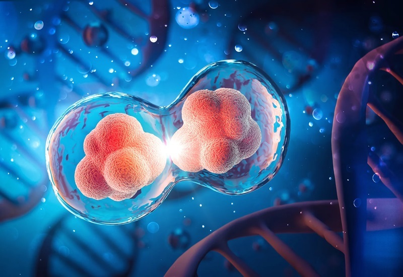 Accelerating Growth with Next-gen Cell Biology