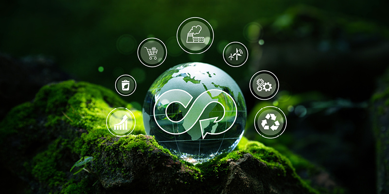 Growth Opportunities in Sustainability and Circular Economy