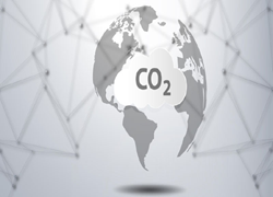 Carbon Markets: Trends and Growth Opportunities