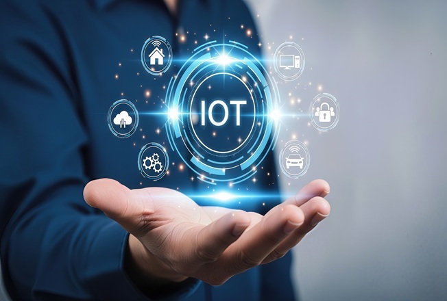 IoT Decision-Makers