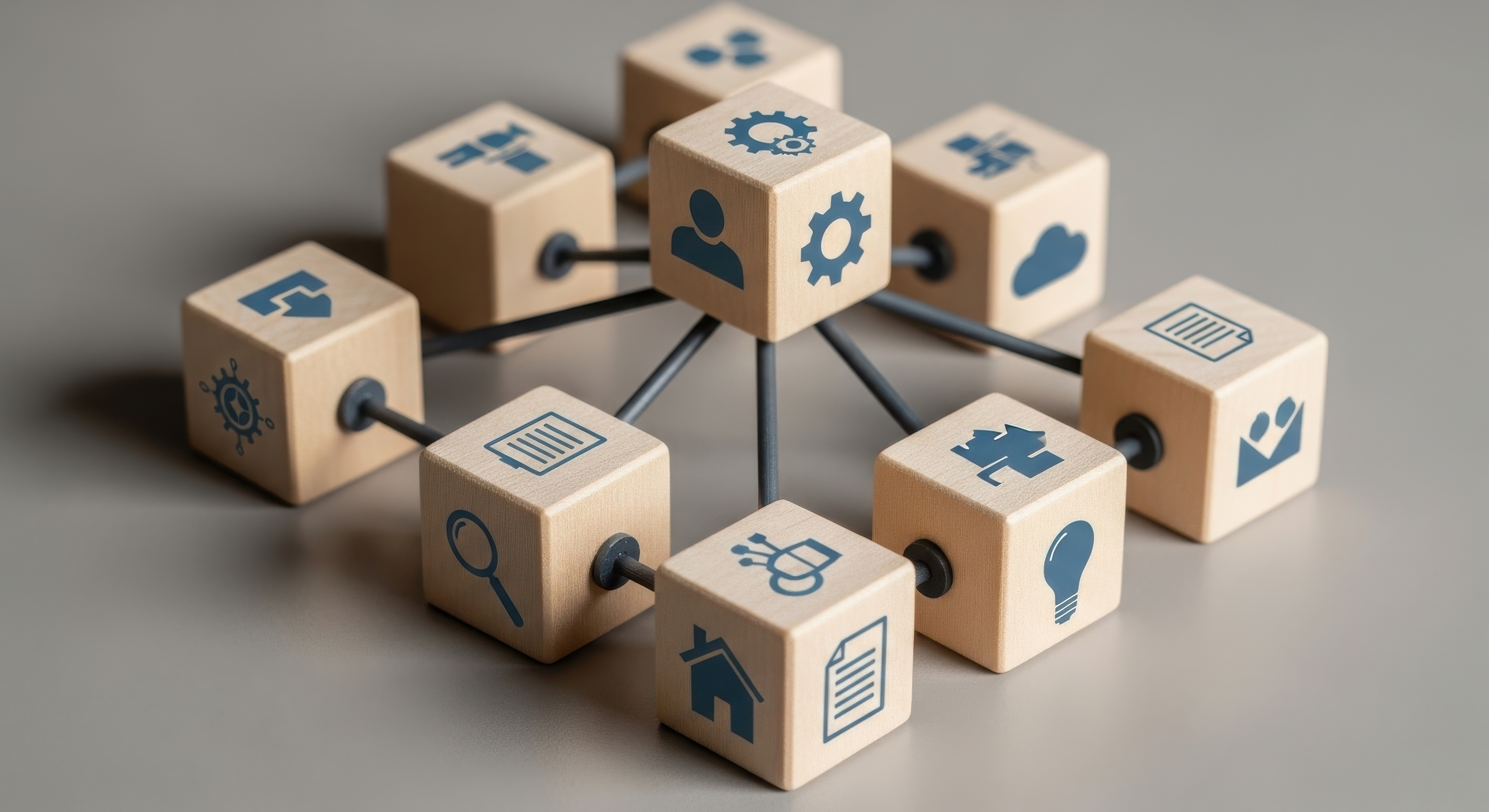 Platform Modularity